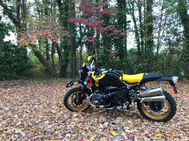 Motorcycle in autumn foliage.