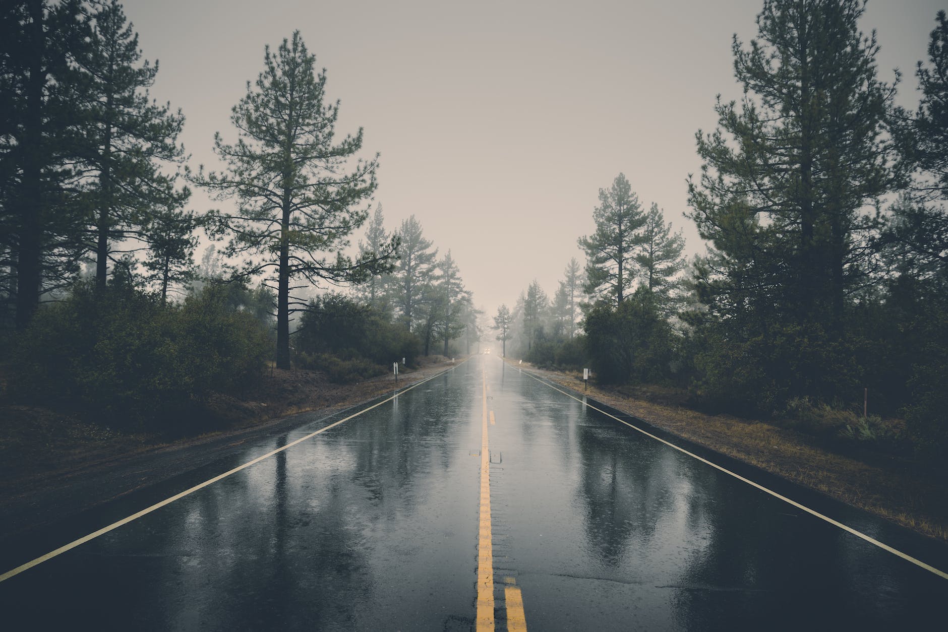 Wet road
