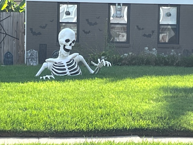 Half giant skeleton appearing out of ground