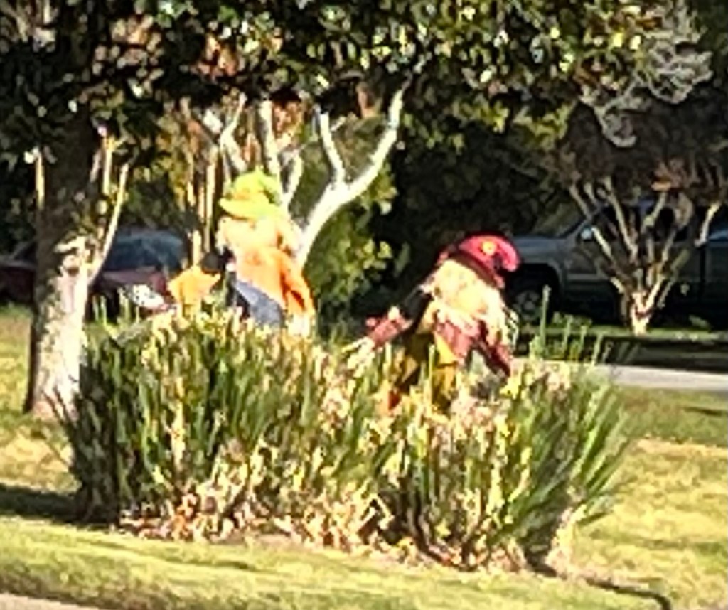 two scarecrows in tall grass