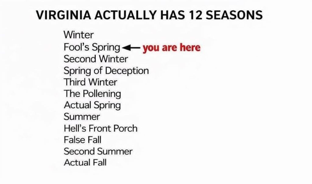 meme of Virginia's 12 seasons